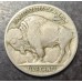 1916 Buffalo