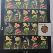 Collectibles (172)