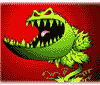 Cook's Carnivorous Plants